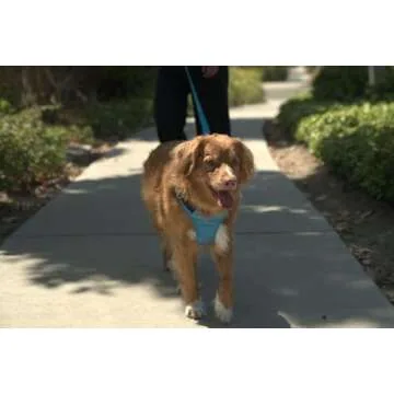 K9 Ballistics Adjustable Dog Harness for Large Breeds