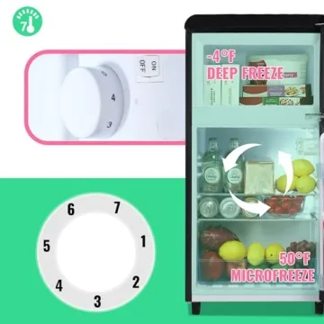 Stylish DEMULLER Black Mini Fridge for Home and Office