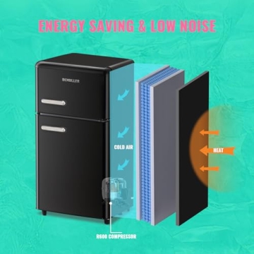 Stylish DEMULLER Black Mini Fridge for Home and Office