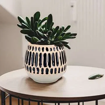 Chonsun Ceramic Planter 4 Inch Plant Pots Indoor Outdoor Succulent Plant Pot Flower Pots Mid-Century Planter Ceramic Pot