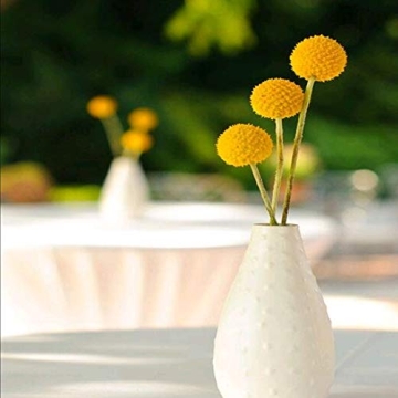 HUAESIN 30Pcs Natural Dried Craspedia Flowers Decor