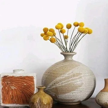 HUAESIN 30Pcs Natural Dried Craspedia Flowers Decor