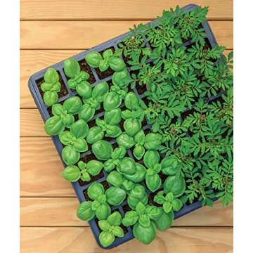 Burpee 36 Cell Seed Starting Kit for Indoor Gardening