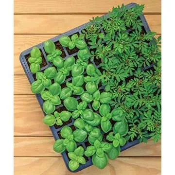 Burpee 36 Cell Seed Starting Kit for Indoor Gardening
