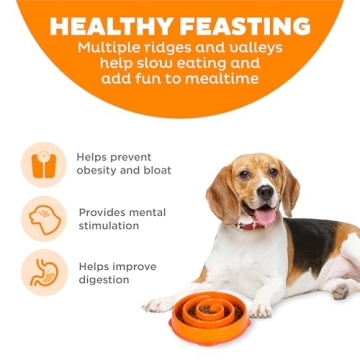 Outward Hound Fun Feeder Slo Bowl for Dogs - Orange