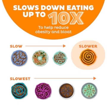 Outward Hound Fun Feeder Slo Bowl for Dogs - Orange