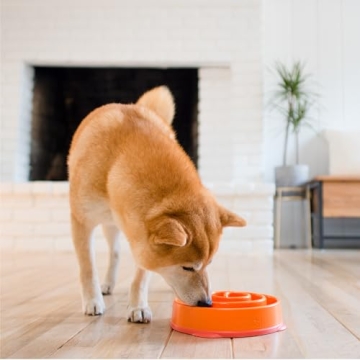 Outward Hound Fun Feeder Slo Bowl for Dogs - Orange