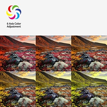 Acer K202Q Bi 19.5-inch HD+ Monitor for Gaming & Work