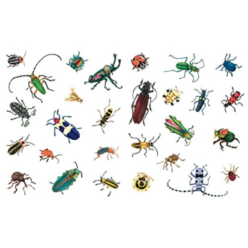 Explore Nature with A Beetle Is Shy by Sylvia Long