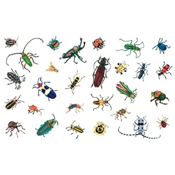 Explore Nature with A Beetle Is Shy by Sylvia Long