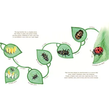 Explore Nature with A Beetle Is Shy by Sylvia Long