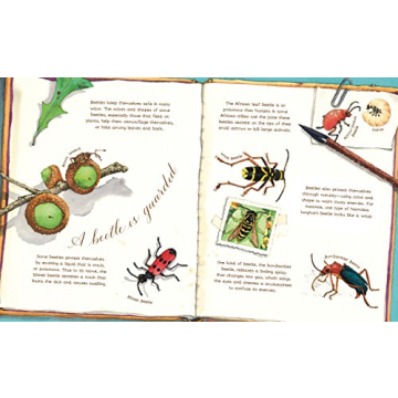 Explore Nature with A Beetle Is Shy by Sylvia Long