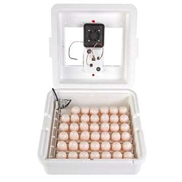 Little Giant® Digital Circulated Air Incubator with Automatic Turner | 41 Eggs | Egg Incubator with Fan and Egg Turner