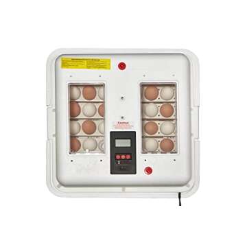 Little Giant® Digital Circulated Air Incubator with Automatic Turner | 41 Eggs | Egg Incubator with Fan and Egg Turner