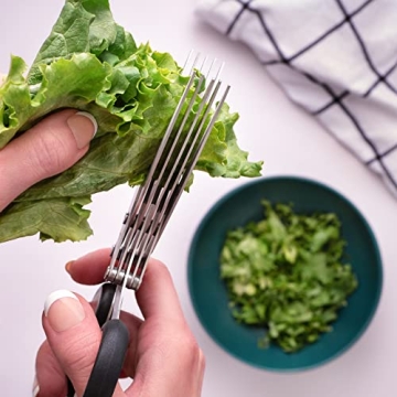 Jenaluca Herb Scissors with 5 Blades and Safety Cover - Salad Scissors - Cut, Chop & Mince Fresh Herbs & Leafy Greens - Stainless Steel Kitchen Shear Set with Cleaning Comb Kitchen Essential - Green