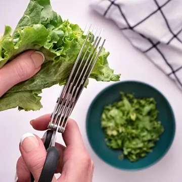Jenaluca Herb Scissors with 5 Blades and Safety Cover - Salad Scissors - Cut, Chop & Mince Fresh Herbs & Leafy Greens - Stainless Steel Kitchen Shear Set with Cleaning Comb Kitchen Essential - Green