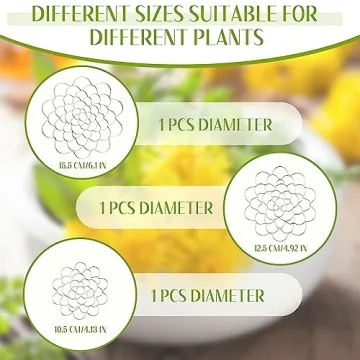 Elegant Hotop Flower Arrangement Holders Set for Vases