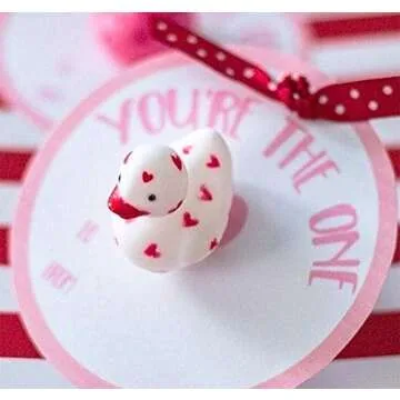 4E's Novelty Valentines Day Rubber Ducks - 24 Pack Heart Themed Duckies for Jeep Ducking, Bath Toy