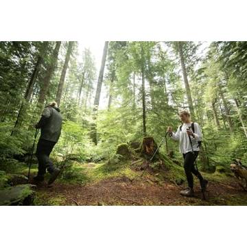 Lightweight Aluminum Trekking Poles with Adjustable Locks