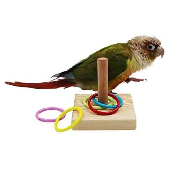 YIUIRUOI A Set of Parrot Intelligence Training Toys, Colorful Stackable Rings Small Sun Ring Training Toy Suitable for Most Pet Birds