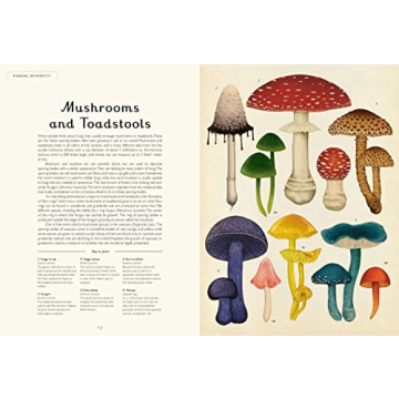 Fungarium: Welcome to the Museum - A Stunning Fungi Book