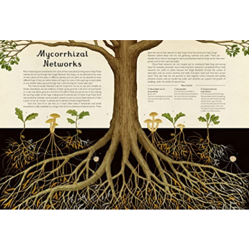 Fungarium: Welcome to the Museum - A Stunning Fungi Book