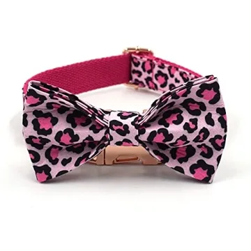 Stylish PETDURO Personalized Dog Collar for Dogs