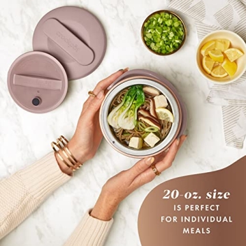 Electric Lunch Box - 20-Ounce Portable Food Warmer