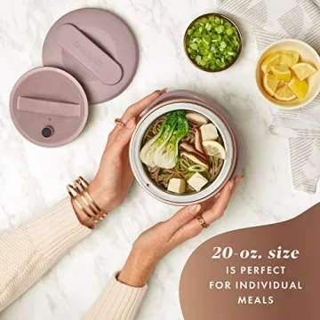 Electric Lunch Box - 20-Ounce Portable Food Warmer