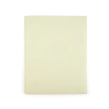 Durable Mintra Poly Pocket Folders 3pk - Cute & Sturdy