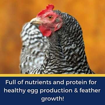 Pampered Chicken Mama Mealworm and Herb Treat for Backyard Chickens, Non-GMO, USA Raised, Healthy Backyard Chicken Feed and Supplies, BEE A Beautiful Hen 16 Pounds