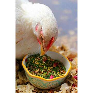 Pampered Chicken Mama Mealworm and Herb Treat for Backyard Chickens, Non-GMO, USA Raised, Healthy Backyard Chicken Feed and Supplies, BEE A Beautiful Hen 16 Pounds