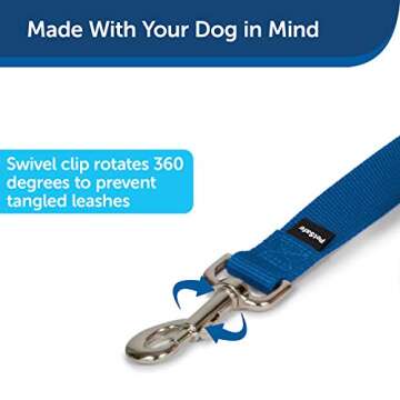 PetSafe Nylon Dog Leash – Strong, Durable, Traditional Style Leash with Easy to Use Bolt Snap – 1" x 6', Royal Blue