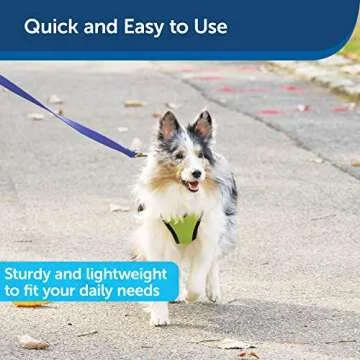 PetSafe Nylon Dog Leash – Strong, Durable, Traditional Style Leash with Easy to Use Bolt Snap – 1" x 6', Royal Blue