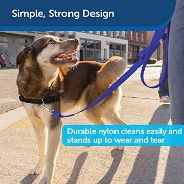 PetSafe Nylon Dog Leash – Strong, Durable, Traditional Style Leash with Easy to Use Bolt Snap – 1" x 6', Royal Blue