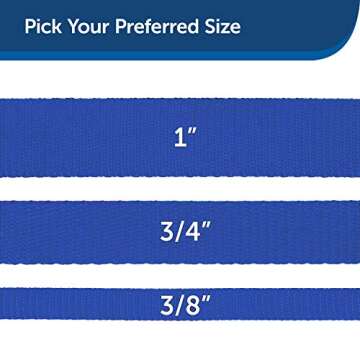 PetSafe Nylon Dog Leash – Strong, Durable, Traditional Style Leash with Easy to Use Bolt Snap – 1" x 6', Royal Blue