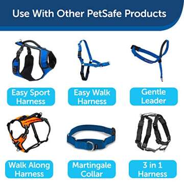 PetSafe Nylon Dog Leash – Strong, Durable, Traditional Style Leash with Easy to Use Bolt Snap – 1" x 6', Royal Blue
