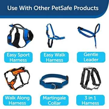 PetSafe Nylon Dog Leash – Strong, Durable, Traditional Style Leash with Easy to Use Bolt Snap – 1" x 6', Royal Blue