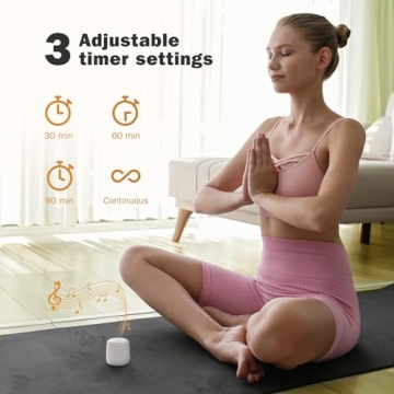 Portable Sound Machine for Sleep & Travel | Paussion