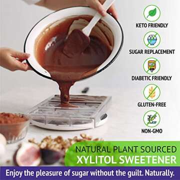 Xlear XyloSweet Non-GMO Xylitol Sweetener - Natural Sweetener Sugar Substitute, Granules, 1 Pound Bag (Pack of 1)