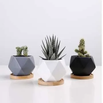 Chez JuJu Modern Geometric Ceramic Succulent Pots 3" Planters with Drainage | Bamboo Tray | 3 Pack
