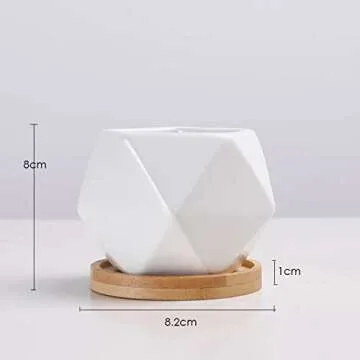 Chez JuJu Modern Geometric Ceramic Succulent Pots 3" Planters with Drainage | Bamboo Tray | 3 Pack