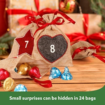 D-FantiX Christmas Advent Calendar 2023 Holiday Countdown