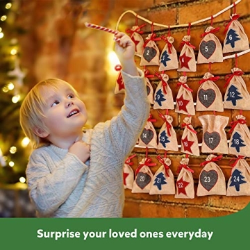 D-FantiX Christmas Advent Calendar 2023 Holiday Countdown