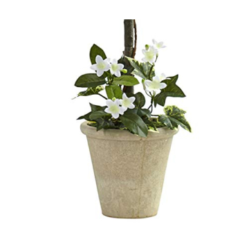 Stunning Nearly Natural 3ft Stephanotis Flower Topiary