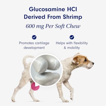 Joint Care Chews for Dogs - Boost Mobility with Glucosamine