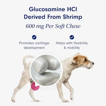 Joint Care Chews for Dogs - Boost Mobility with Glucosamine
