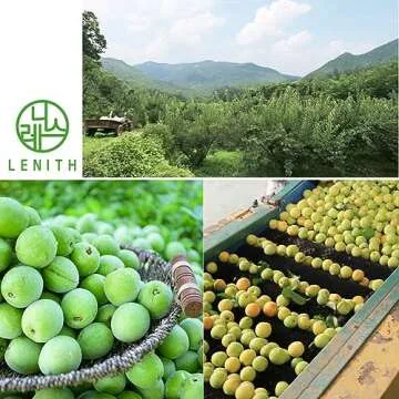 LENITH Korean All Purpose Plum Extract Syrup for Cooking