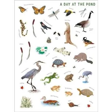 Backpack Explorer Stickers: Nature Adventure: 300 Stickers plus Play & Learn Activities