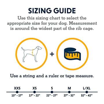 Ruffwear, Swamp Cooler Dog Harness, Lightweight with Evaporative Cooling for Hot Weather, Sage Green, XX-Small